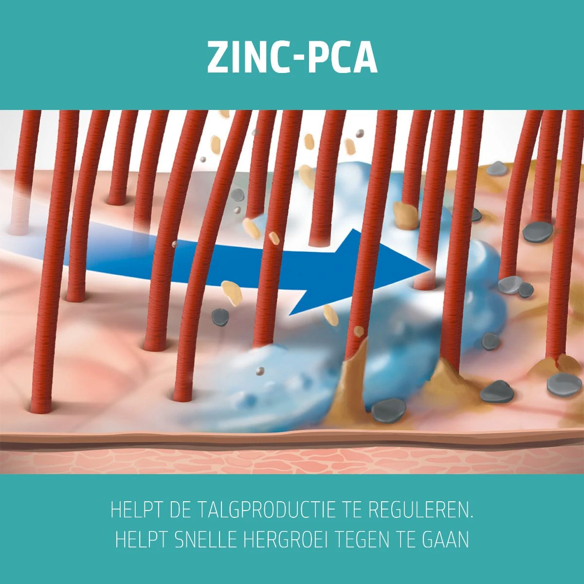 Goldwell Dualsenses Scalp Specialist Deep Cleansing Shampoo 1000ml 3 Goldwell Dualsenses Scalp Specialist Deep Cleansing Shampoo 1000ml - Afbeelding 3