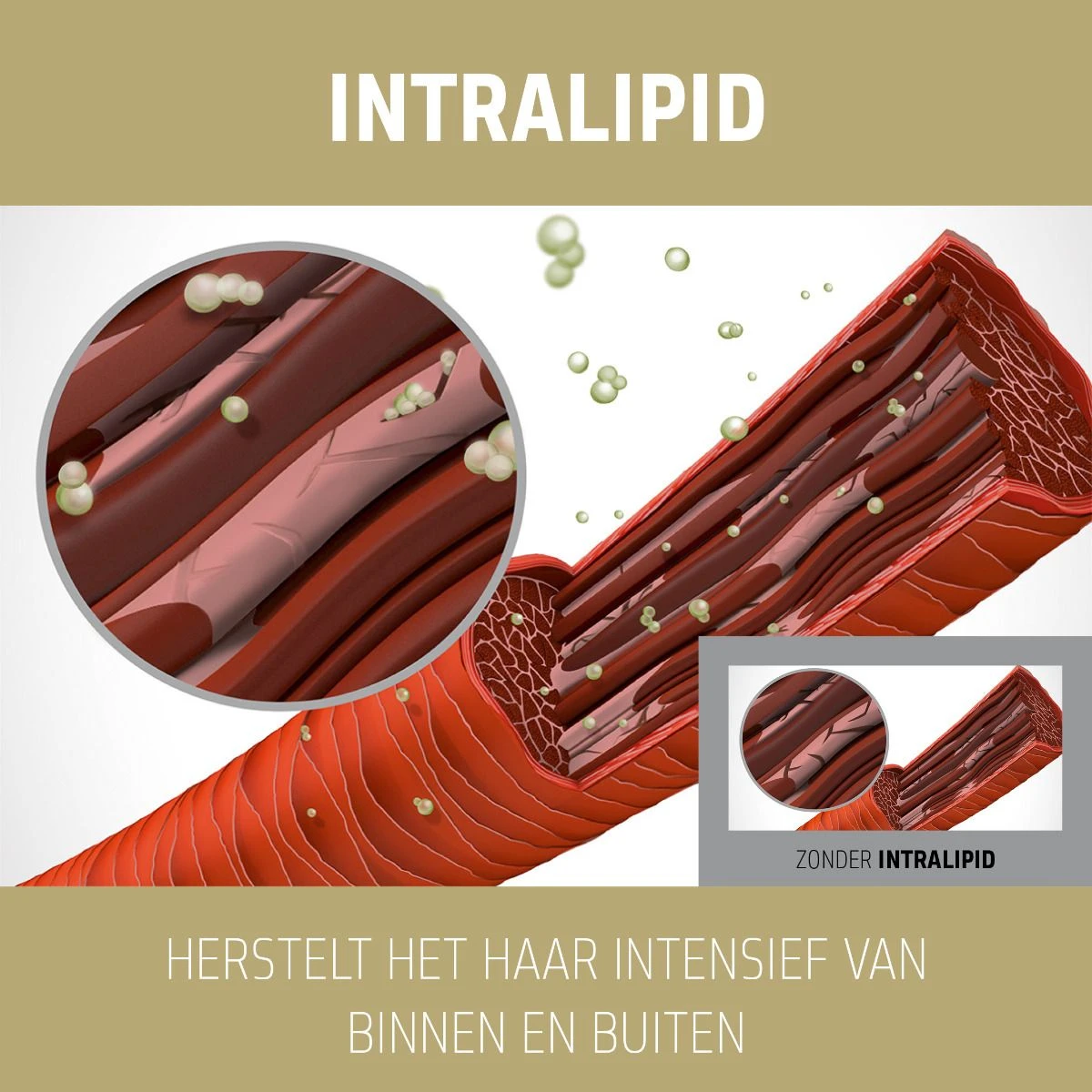 5x Goldwell Dualsenses Rich Repair 6 Effects Serum 100ml 3 5x Goldwell Dualsenses Rich Repair 6 Effects Serum 100ml - Afbeelding 3