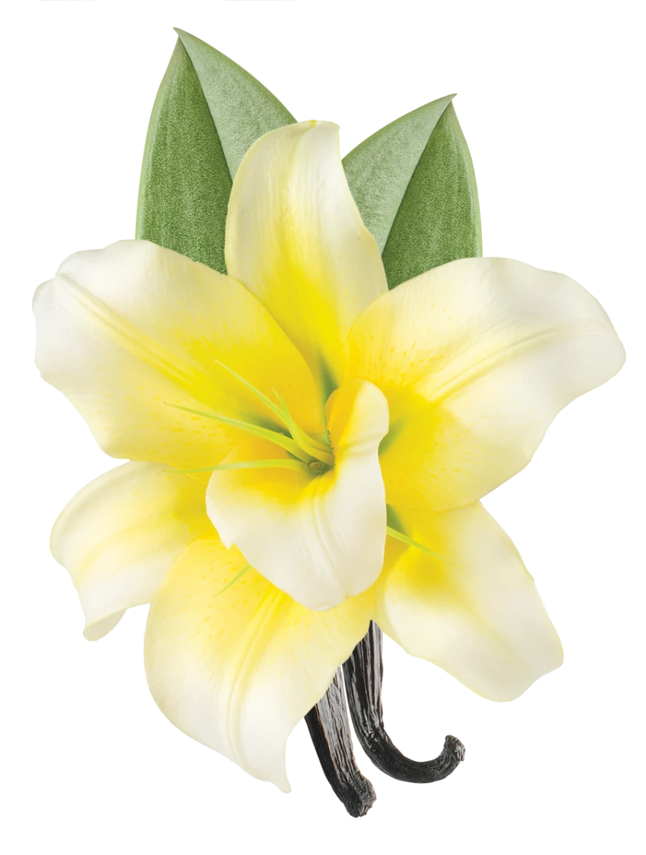 Biosilk Silk Therapy With Tahitian Vanilla 67ml 2 Biosilk Silk Therapy With Tahitian Vanilla 67ml - Afbeelding 2